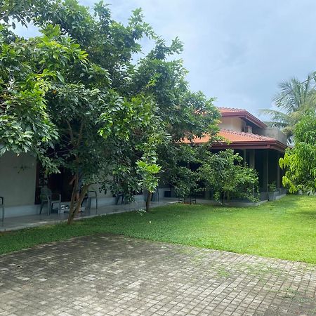 Negombo 146 Homestay Exterior foto