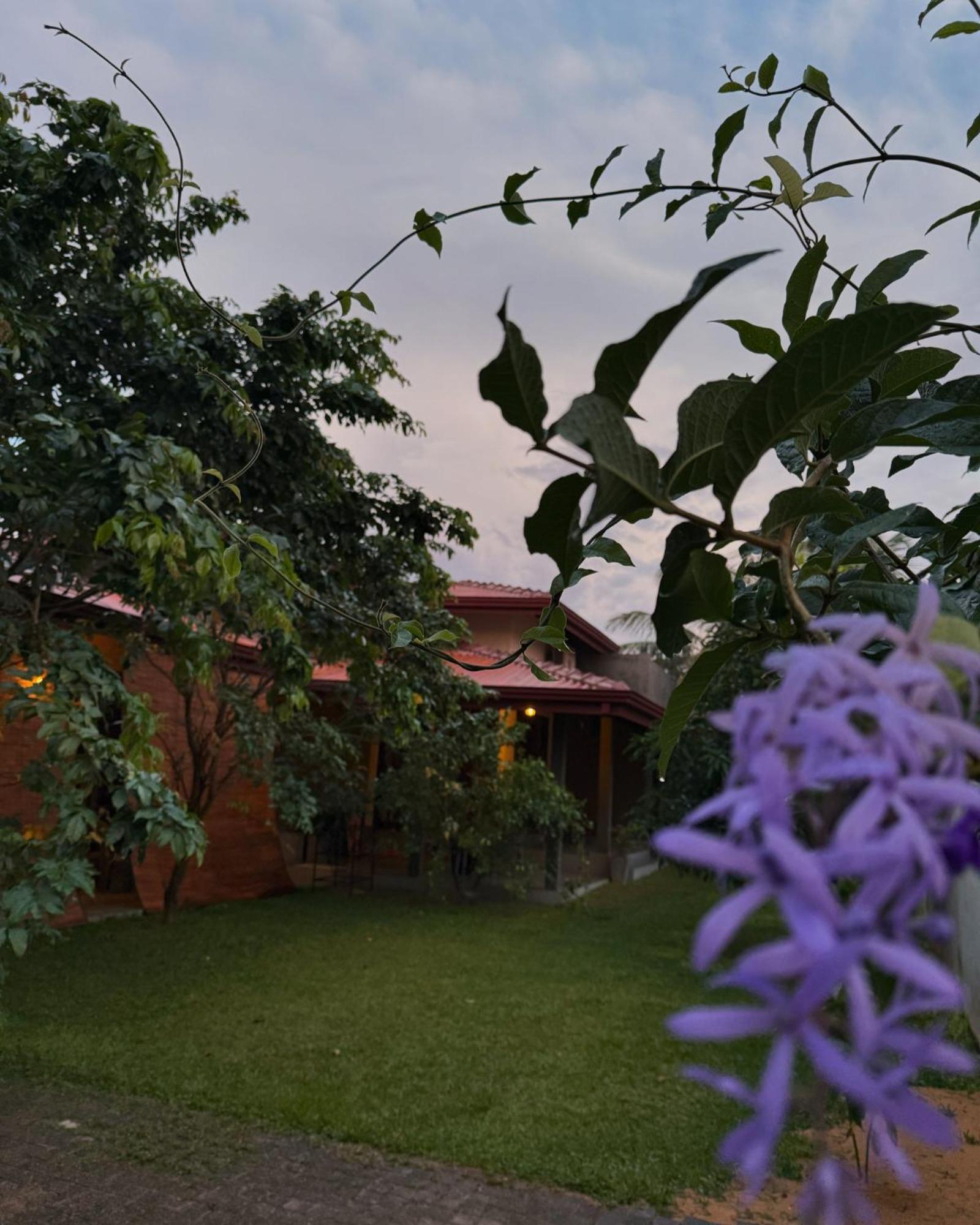 Negombo 146 Homestay Exterior foto